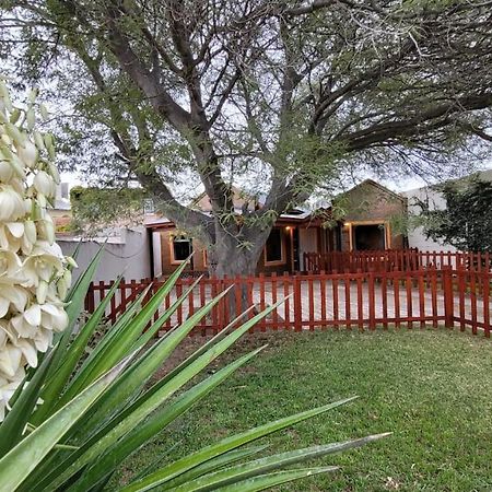 דירות פוארטו מדרין El Patio Del Aromo מראה חיצוני תמונה
