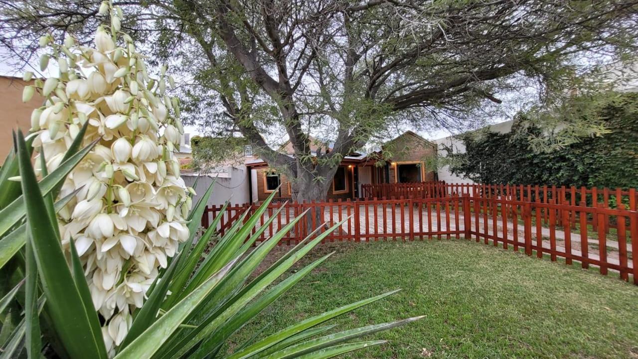דירות פוארטו מדרין El Patio Del Aromo מראה חיצוני תמונה