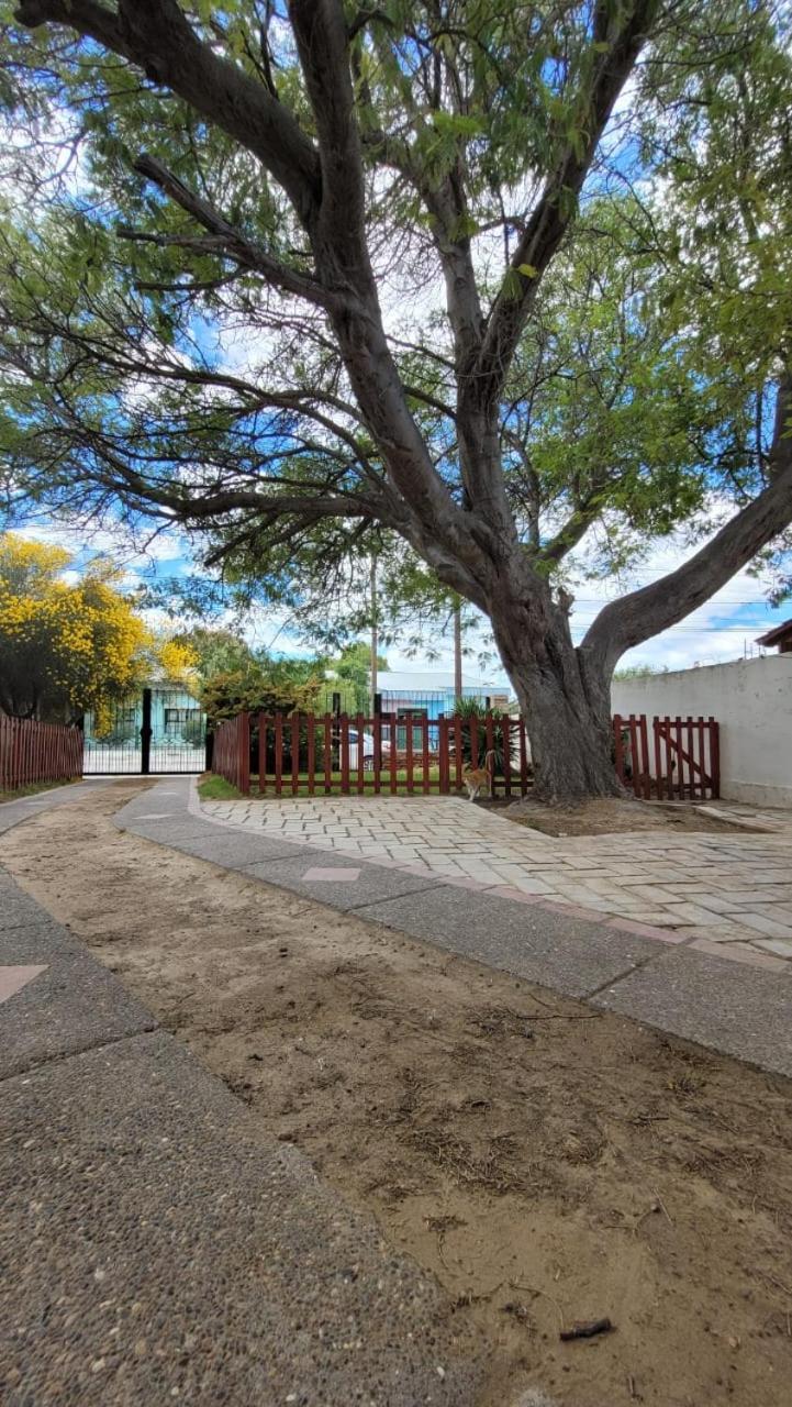 דירות פוארטו מדרין El Patio Del Aromo מראה חיצוני תמונה